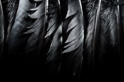 Raven Feathers 10ft