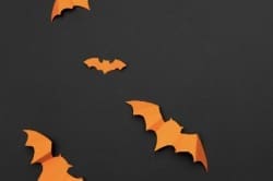 Orange Bats