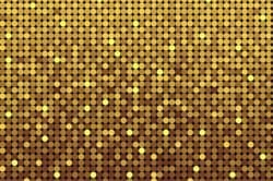 Gold Sequin Graphic